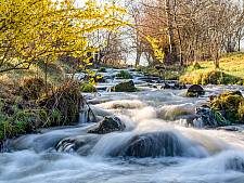 Herbst am Glütschbach