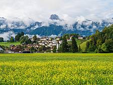 Sommer mit Blick auf Eggstutz, Stockhorn